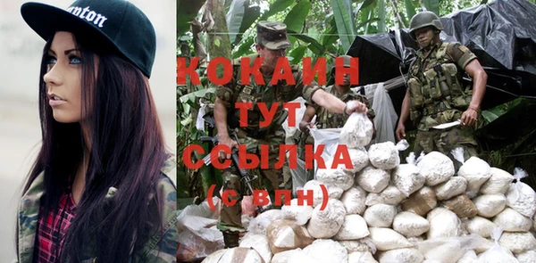 крисы Аркадак