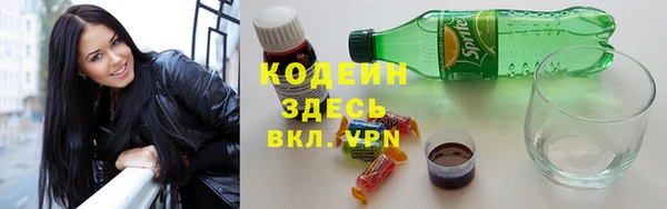 спайс Корсаков