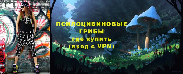 СК Арсеньев