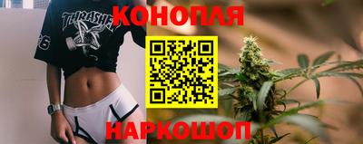 Альфа ПВП Пенза