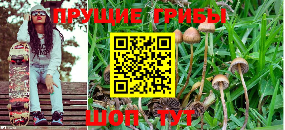 Псилоцибиновые грибы мухоморы  Вход с VPN  Глазов 